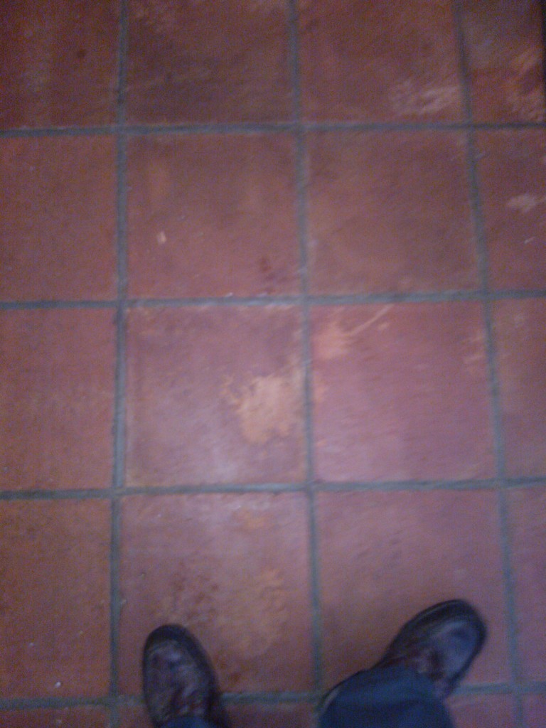 Saltillo Tiles before cleaning
